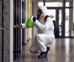 Best Mold Prevention Services  in Fort Bragg, CA